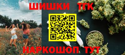 гидра Будённовск