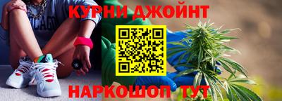 гидра Будённовск