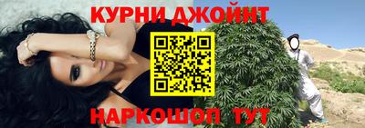 гидра Будённовск