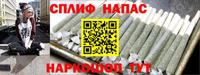 гидра Будённовск