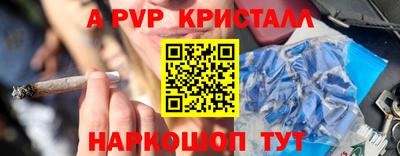 гидра Будённовск
