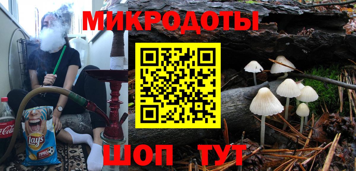 ГАШ Электросталь