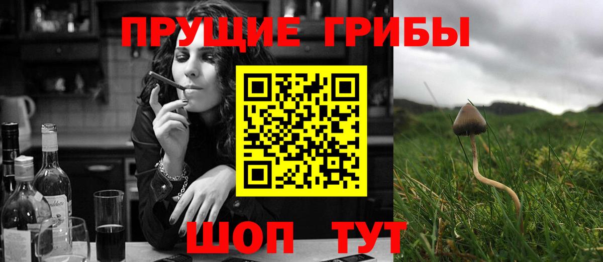Электросталь  Галлюциногенные грибы мицелий  Вход с VPN 